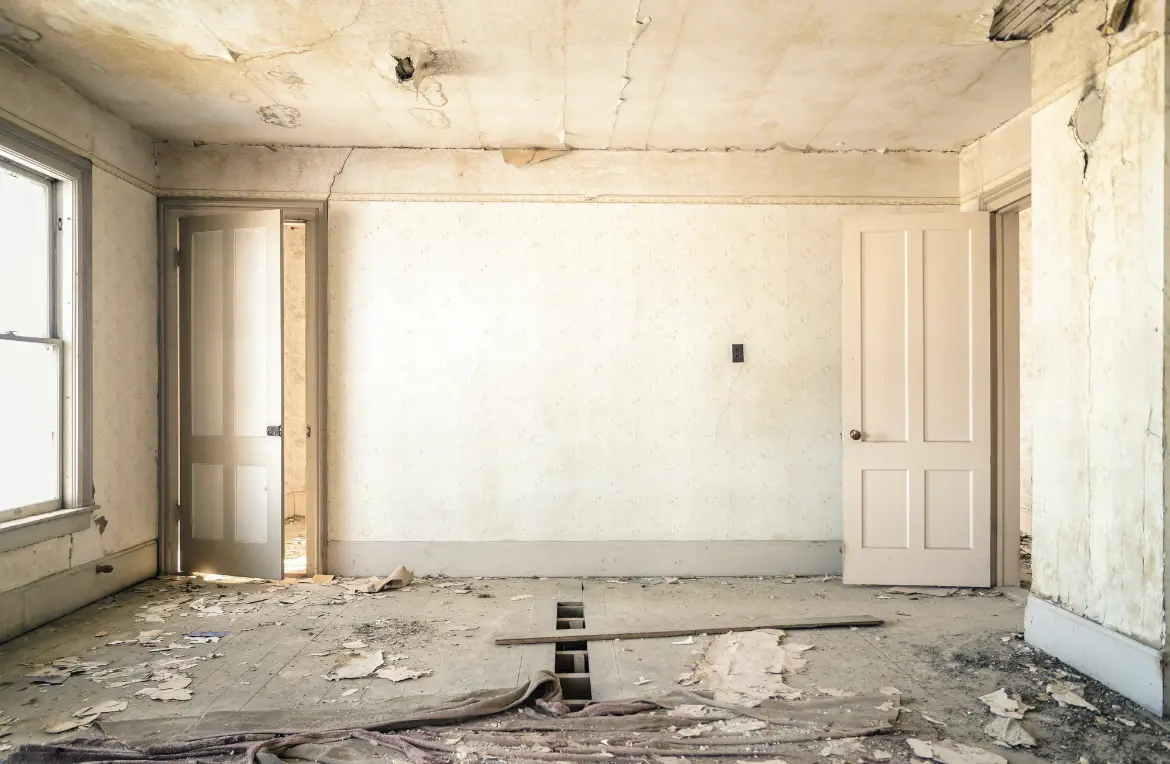 Waste disposal crew managing a cleanout project in Willits